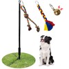 SYOOY Tether Outdoor Dog Toy,Interactive Exercise Game in Yard Park