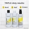Kenra Professional Kenra Triple Repair Shampoo & Conditioner Set |