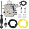 Hettluo Carburetor for Craftsman b2200 b2000 b210 Leaf Blower CMXGAAM204101