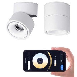 LED Dimmable Ceiling Spotlight Indoor 360°Adjustable -Tuya Smart Life Surface Mounted 12W COB Directional Art Lighting-Hard Wired Ceiling Downlight for Mural Display Home shop (White, 3.94"*4.02")