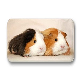 Merchandise for Fans Guinea Pig Fridge Magnets Rectangular 7 x 4.5 cm 01 for Memo Board Notice Board Magnetic Whiteboard Pack of 6