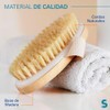 SOVICO - Cepillos Corporales Ovalados - Materiales de Alta Calidad