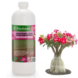 𝐏𝐑𝐎𝐅𝐄𝐒𝐒𝐈𝐎𝐍𝐀𝐋 Liquid Silica Plant Supplement - 32oz - Desert Rose Plants Liquid Silica Boost Fertilizer - Stronger Stems & Healthy Leaves for Indoor & Outdoor Plants (Makes 180 Gallons)
