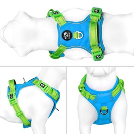 PHOEPET No Pull Dog Harness, Unique Colors Reflective Adjustable Dog Vest, with Soft Training Handle Metal Clips for Small Medium Large Dogs (Blue Base & Green Straps,L)