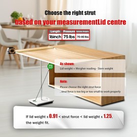 Gas Spring Prop Struts Shock Lift Supports 16 Inches 75lb with L Mount for RV Bed Floor Hatch Trap Door TV Cabinet Heavy Duty Box Lid Window (75lb, 16in)