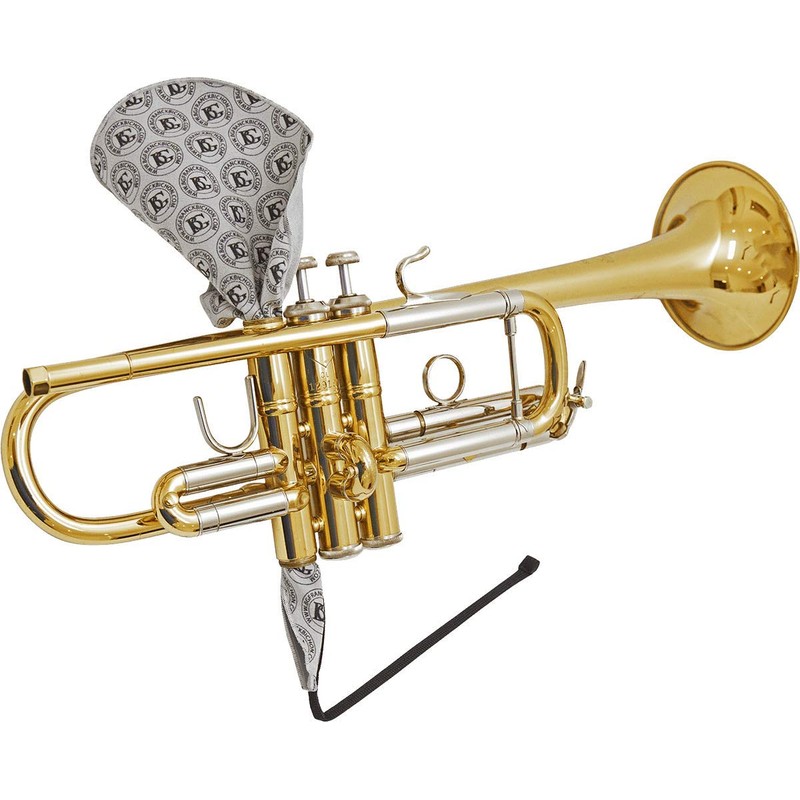 BG VALE CASING A31T1 Swab Trumpet Microfiber