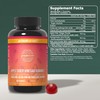 Primal Harvest 2 Pack, ACV Gummies, Sugar Free Apple Cider