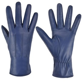 Harssidanzar Ladies Leather Gloves, Touchscreen Warm Cashmere Lining winter Gloves For women GL017UK,Blue,Size M