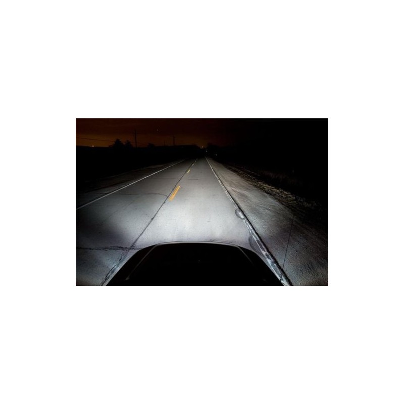 Putco 230003NB Premium Automotive Lighting Nitro Blue Halogen Headlight Bulb