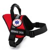 ALL ACCESS CANINE™ Service Dog - Emotional Support Animal ESA