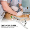 Stainless Steel Castration Pliers Clamp with 100PCS Tail Docking Rings