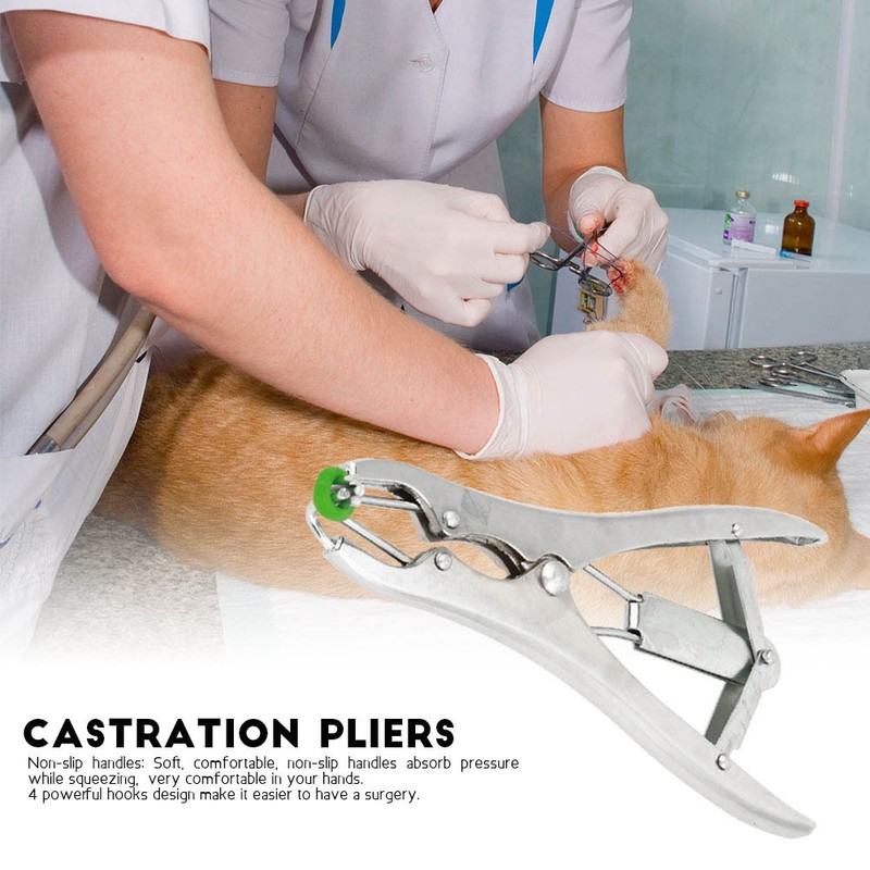 Stainless Steel Castration Pliers Clamp with 100PCS Tail Docking Rings
