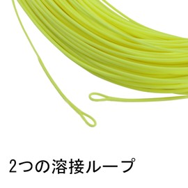 Maxcatch DT Fly Line Double Taper Floating: 1-8F, 100' DT Fly Fishing Line (Yellow with Loop), DT-2F)