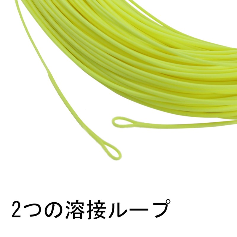 Maxcatch DT Fly Line Double Taper Floating: 1-8F, 100' DT