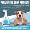 Pet Odor Eliminator, 32oz Spray - Dismantles Odors on a