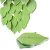 100 Sheets Sticky Notes, Beautiful Green Leaf-Shaped Self Stick Notes,