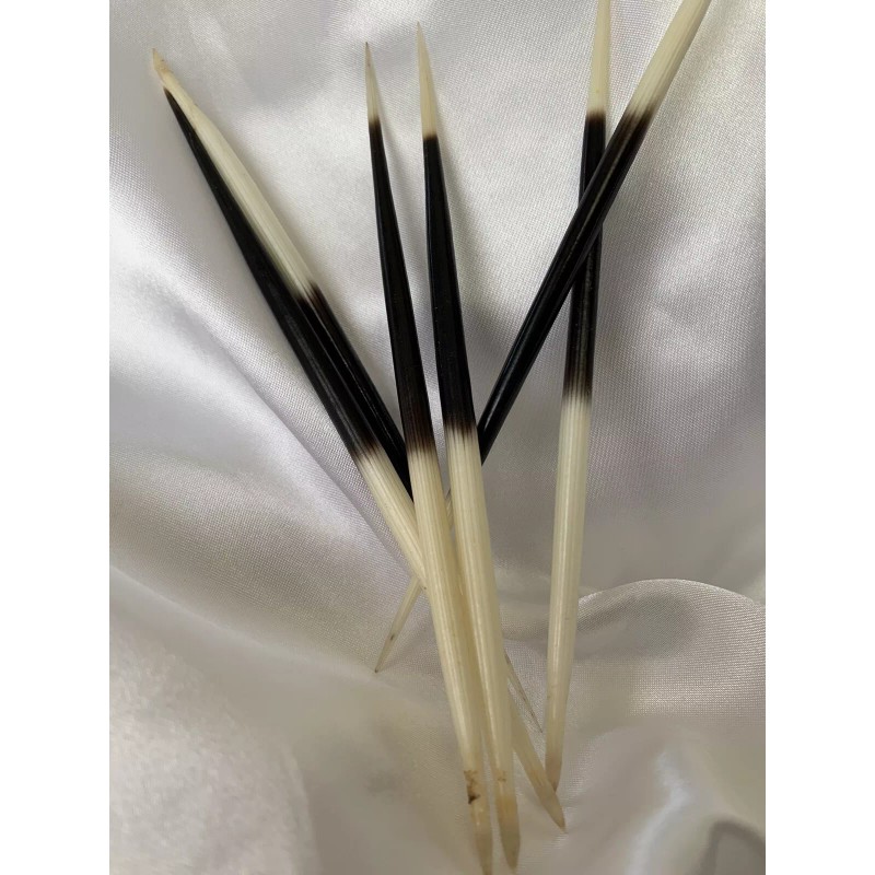 Porcupine quill pen-1