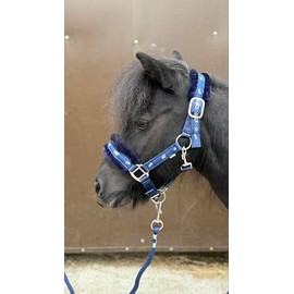 Equipride Horse Print Faux Lined Nylon Headcollars with Matching Lead Rope Navy (Pony)