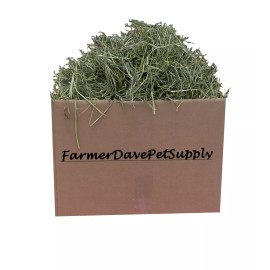 FarmerDavePetSupply 10 lb " Early 1st Cut " Premium Rabbit and Bunny "HAY-IN-A-BOX"