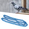 100pcs Pigeons Training Foot Rings Identify Numbered Blue Leg Bands