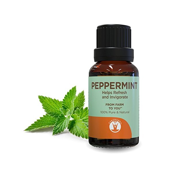 GuruNanda Peppermint Essential Oil - Aromatherapy - GCMS Tested & Verified 100% Pure Essential Oils - Undiluted - Therapeutic Grade - 15 ml