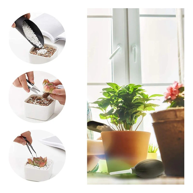Herramientas Jardín Para Suculenta Con Tijeras De Podar 22pc