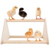 ZONADAH Chick Perch Wood Training Perch Chicken Perch Stand 3