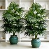 Palmera Artificial Premium Decorativa Para Interior Exterior