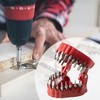 Denture Drill Bit Holder, Bit Organizer Denture Model Holds Up