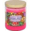Smoke Odor Exterminator 13oz Jar Candle, Trippy Hippie