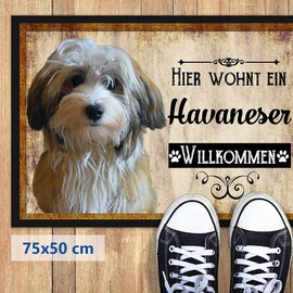 PR Print Royal Doormat Pets with Dog Picture Havanese - Gift Idea for Dog Lovers and Dog Owners - Size 75 x 50 cm