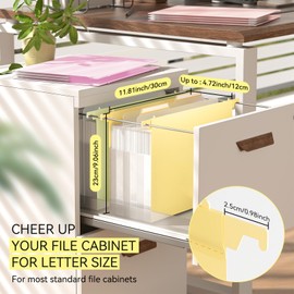 ThinkTex Plastic Expanding Hanging File Folders,Reinforced 4.72" Hanging Accordian Folder，Large Capacity one Pocket, Removable Labels,Insertable Tabs, Letter Size for Filing Cabinet -8 Pack