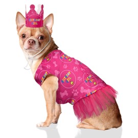 Odi Style Dog Birthday Girl Outfit - Party Decorations - Hat, Crown and Dress with Birthday Girl Sign, Puppy Party T-Shirts Cat Breathable Stretchy Costumes X-Small