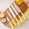 Kitchen Knife Set Cutting Tool Set Cutlery Set Chef Knives