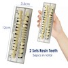 56 Pcs False Teeth Fake Teeth 2 Sets Synthetic Resin