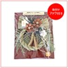 Yamaichi Shoten K-707 Japanese Botanical Apricot New Year Ornament