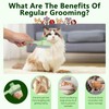 EYBDYB Self-Cleaning Cat & Dog Comb – 2-in-1 Pet Hair