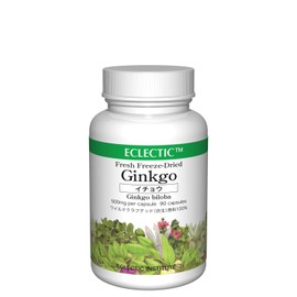 EXCTRIC GINKO E023 500 mg x 90 capsules