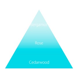 Savon & Company Essence UV Mist Savondu Bass 1.7 fl oz (50 ml) SPF 50+/PA++++ SAVON & CO