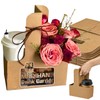 MAQIHAN 2 Cup Drink Carrier with Handle - 20Pcs Disposable