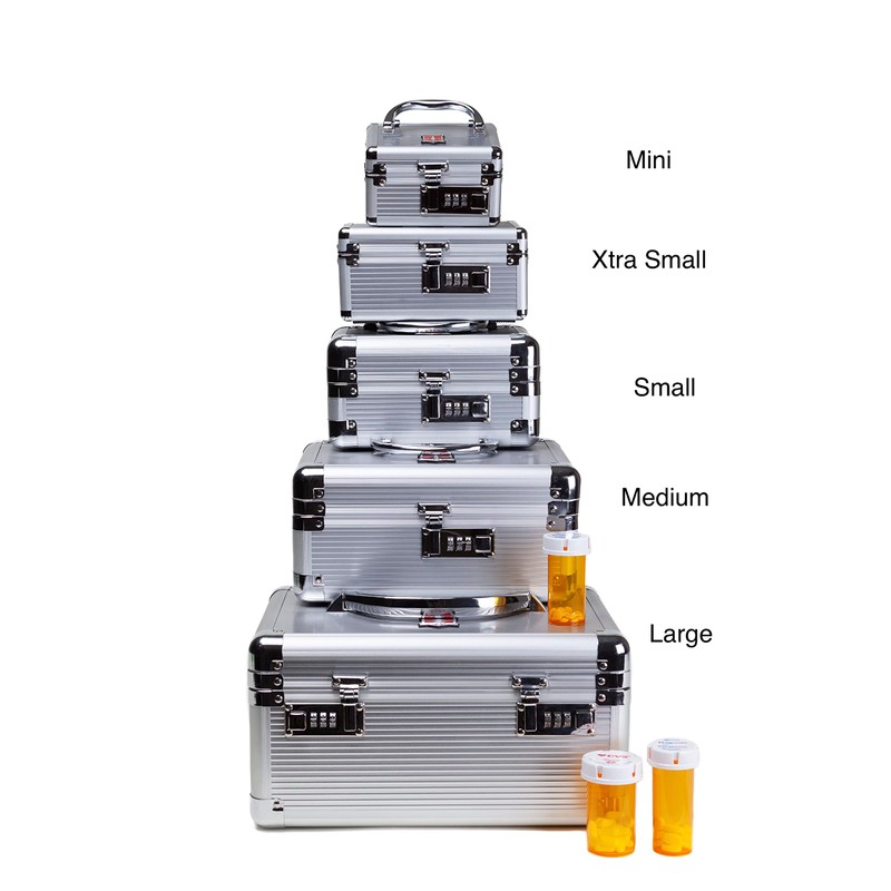 MEDICINE RX SAFE Medication Carrying Case - Mini_Silver
