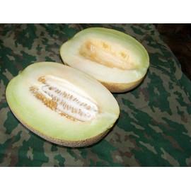 CEMEHA SEEDS - Sweet Melon Titovka Non GMO Fruits for Planting