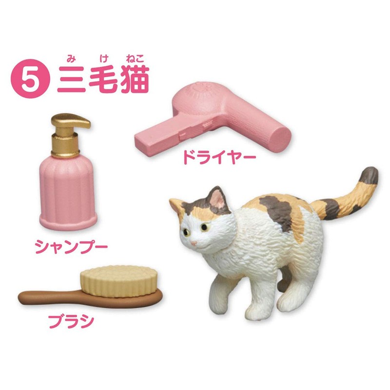 ania ania friends cat