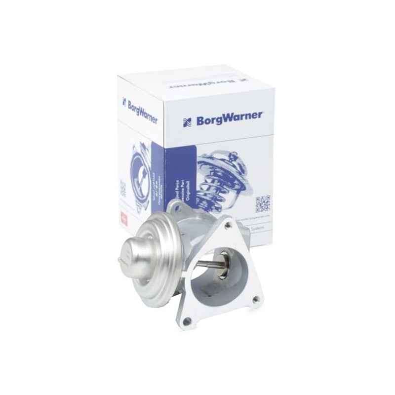 BorgWarner 7496D/1 EGR Valve