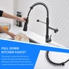 AIMADI Black Kitchen Faucet with 2 Function Sprayer,Commercial Stainless Steel