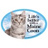 Prismatix Cat (Maine Coon) Oval Dog Magnet for Cars