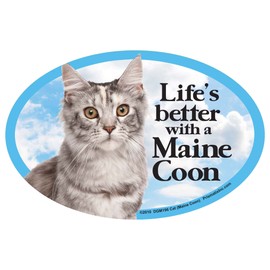 Prismatix Cat (Maine Coon) Oval Dog Magnet for Cars