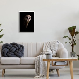 Stupell Industries Beautiful Intense Barn Owl Black Shadow Photography Portrait,Design by Incado