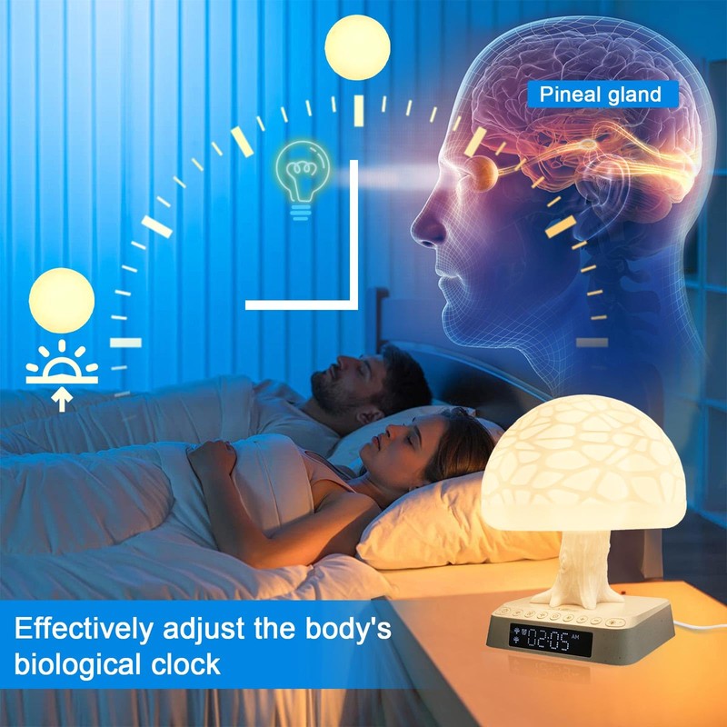 Sunrise Alarm Clock lamp APP Control Bioclock Adjustment Light Therapy