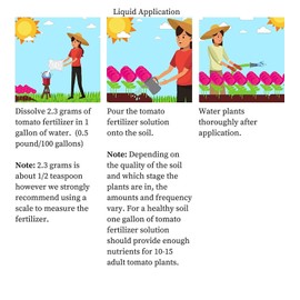 Tomato Fertilizer 4-18-38 Powder 100% Water Soluble Plus Micro Nutrients and Trace Minerals"Greenway Biotech Brand" 10 Pounds (Makes 2000 Gallons)